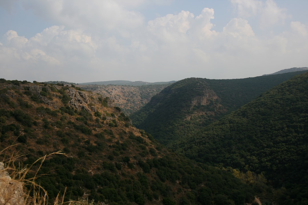 Wazuh, how to set up Wazuh, enterprise setup with encryption and restore points